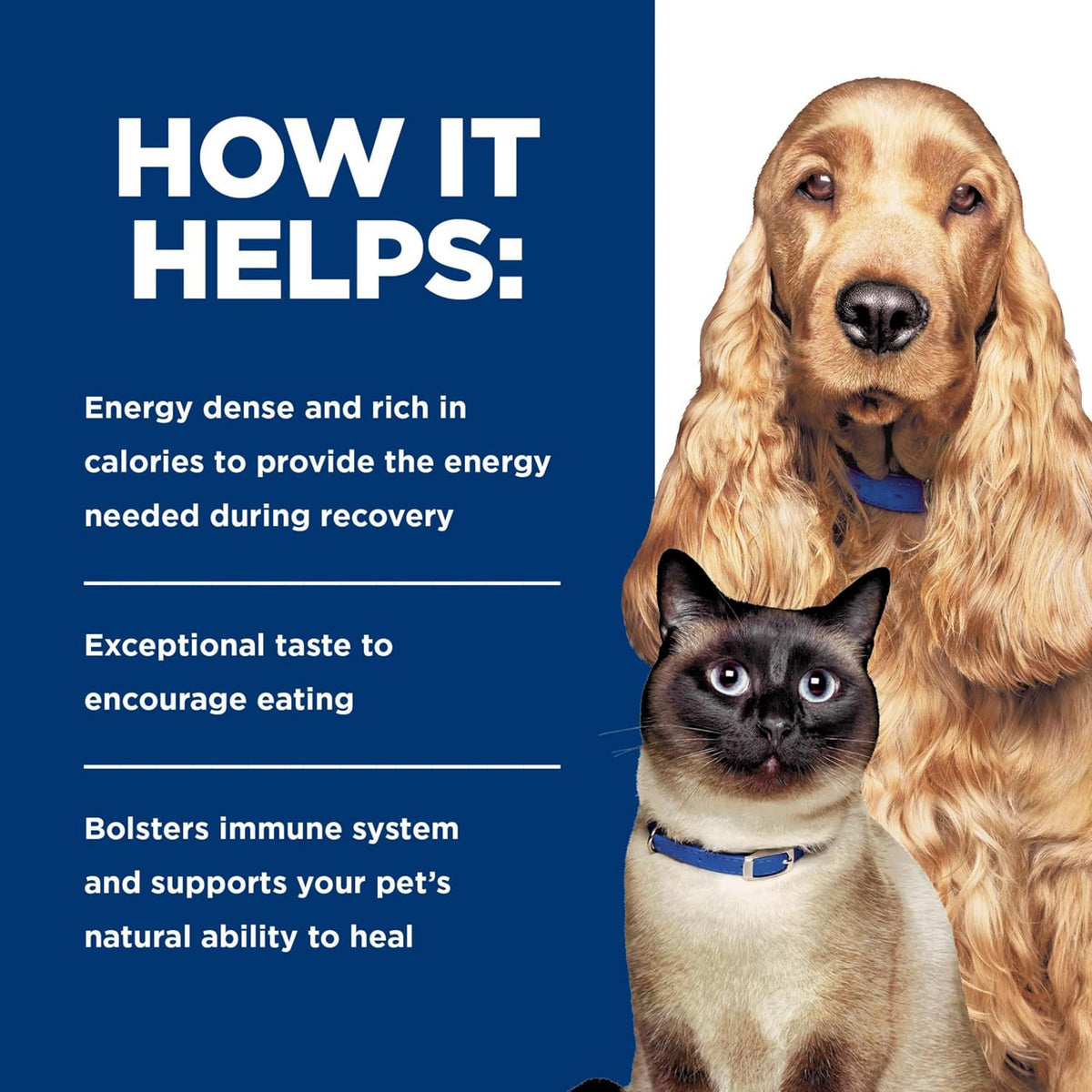 Hill's prescription critical nutrition formulation for post surgery pet health