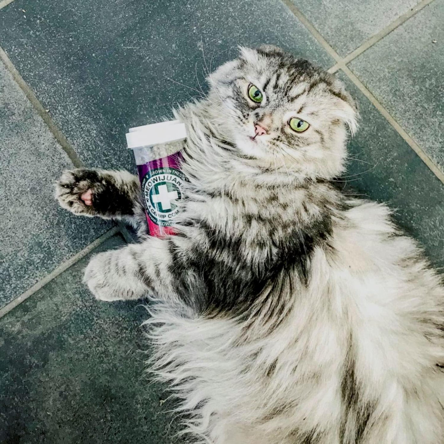 Premium pet care products imported from the United States