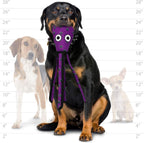 Tuffy squid dog toy with visible protective webbing