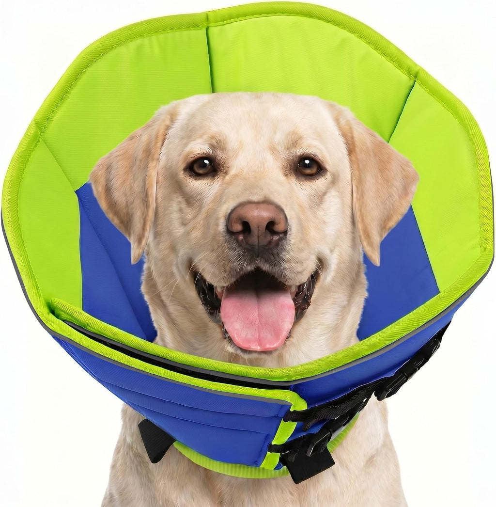 Sunfura soft dog cone blue front view