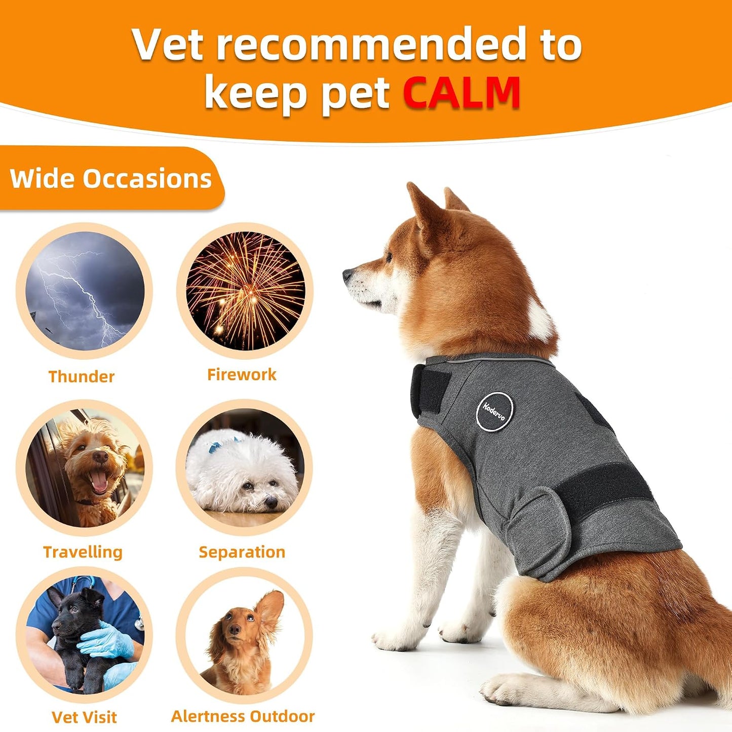 Dog wearing blue Kodervo compression anxiety jacket