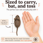 Interactive felted wool mice for indoor cats displayed together to show the realistic hunting toy shape