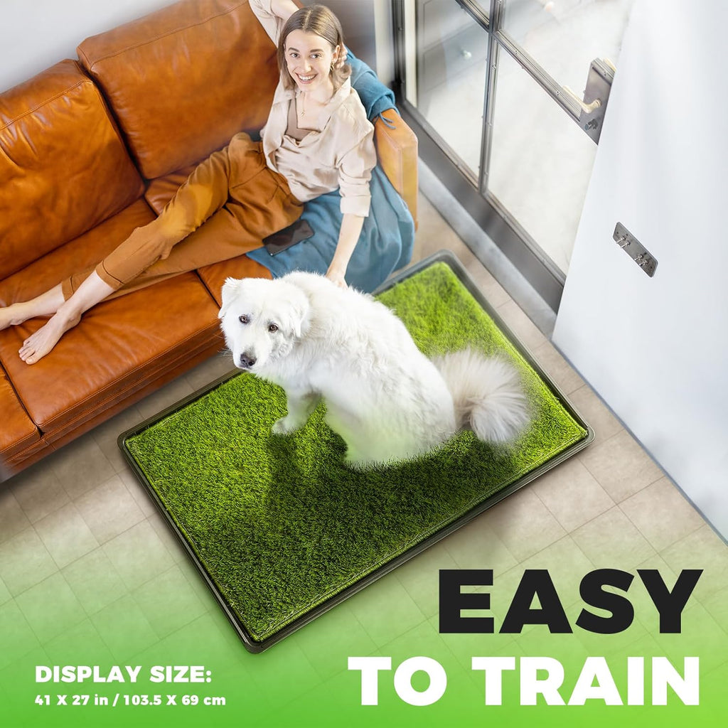 Indoor dog potty setup in modern living room