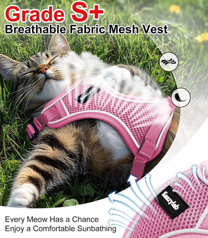 Adjustable small cat harness for outdoor walking
