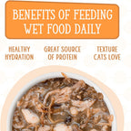 Weruva pantry party variety pack box with multiple wet food pouches