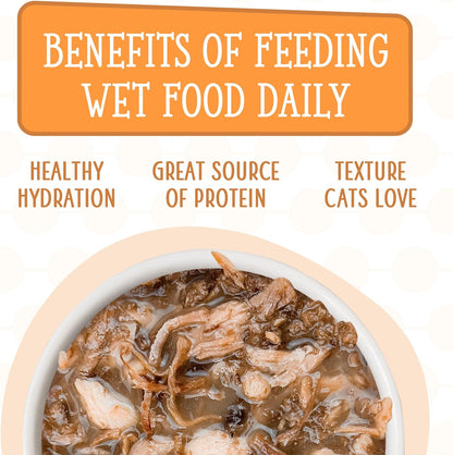 A domestic cat enjoying the premium chicken and wild salmon gravy recipe from the gourmet pantry pack.