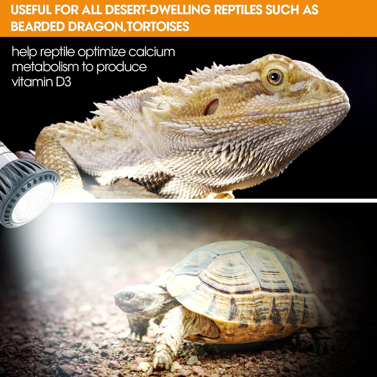 GeeKoit desert reptile light bulb installed inside a terrarium setup above a bearded dragon basking spot.