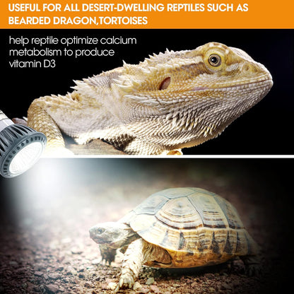 GeeKoit desert reptile light bulb installed inside a terrarium setup above a bearded dragon basking spot.