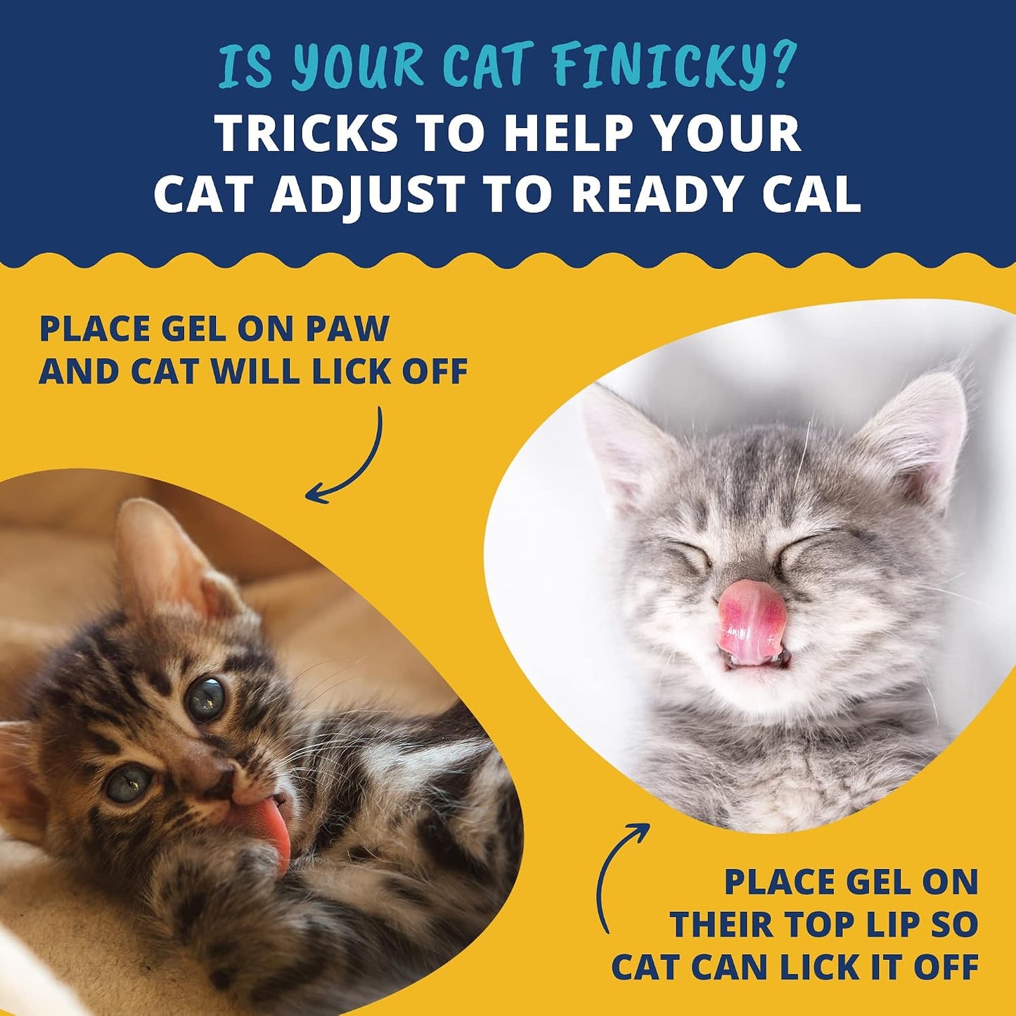 Under the Weather Pet | Ready Cal for Kitten | High Calorie Pet Nutritional Supplement for Weight Gain & Healthy Weight Maintenance | 10 Vitamins, 7 Minerals, Omega Fatty Acids & Carbohydrates | 80cc - Image 4