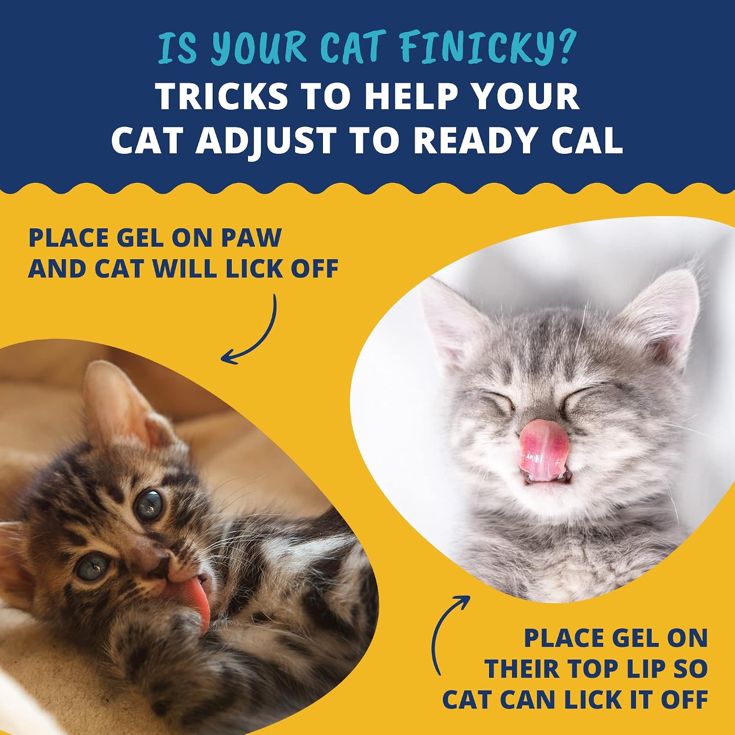 Under the Weather Pet | Ready Cal for Kitten | High Calorie Pet Nutritional Supplement for Weight Gain & Healthy Weight Maintenance | 10 Vitamins, 7 Minerals, Omega Fatty Acids & Carbohydrates | 80cc - Image 4