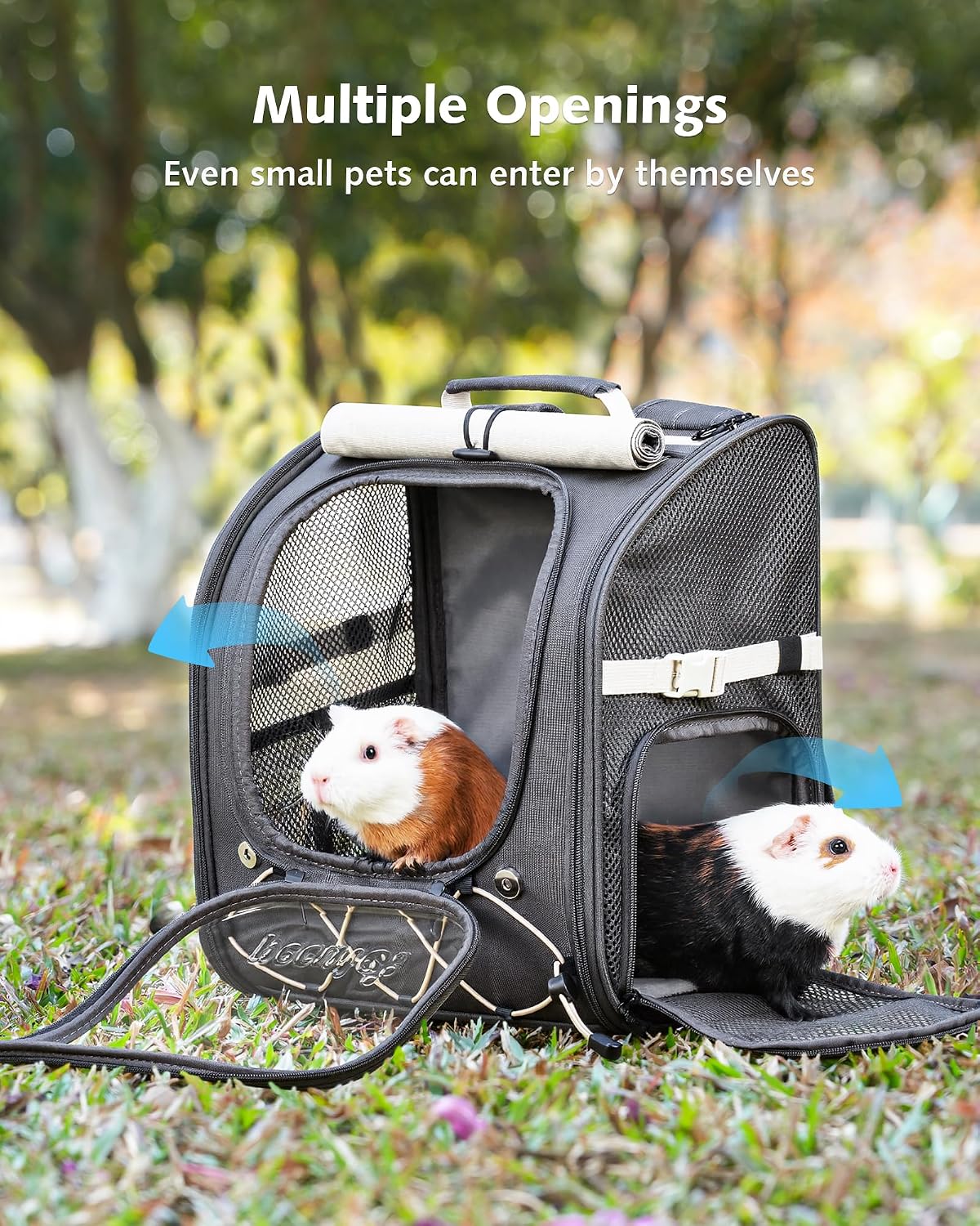 Pecute Small Pet Carrier, Breathable Bearded Dragon Carrier, with Transparent Bubble & Steel Frame, Safety Lock for Hamster, Rabbit, Guinea Pig, Parrot, Kitten, Puppy, Ideal for Travel/Vet Visits/Camp - Image 7