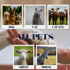TerraPet pet eye ointment tubes showing the compact travel friendly size
