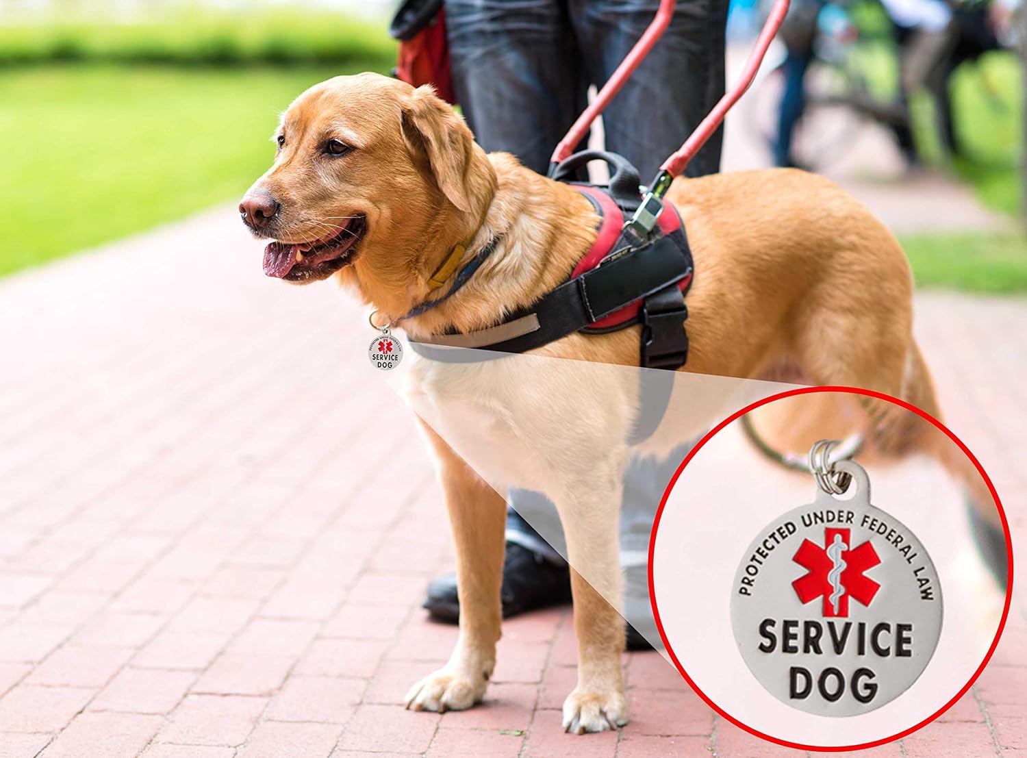 USA sourced service dog identification tag side profile displaying metal thickness