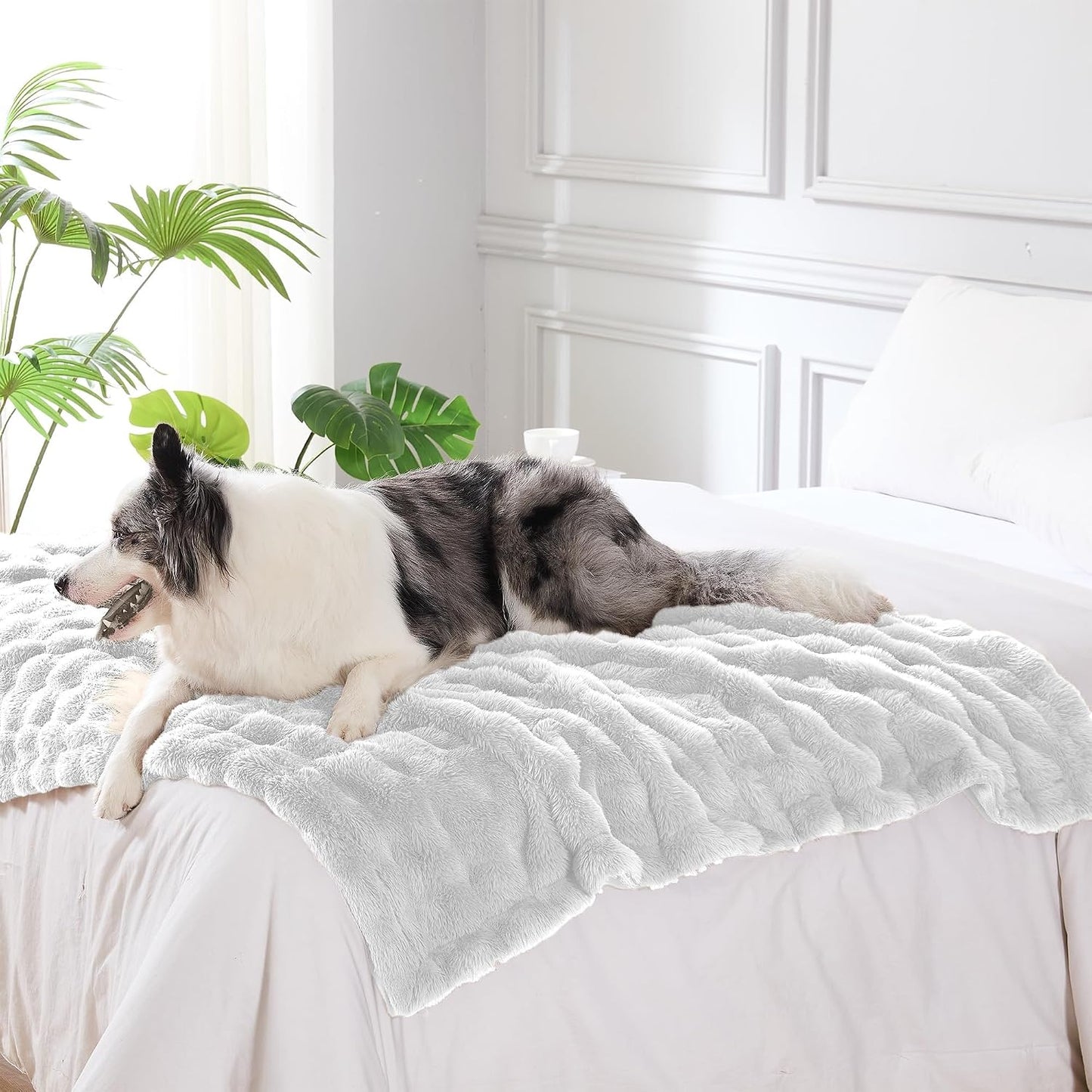 Close up view of the water resistant backing on the white dog blanket throw.