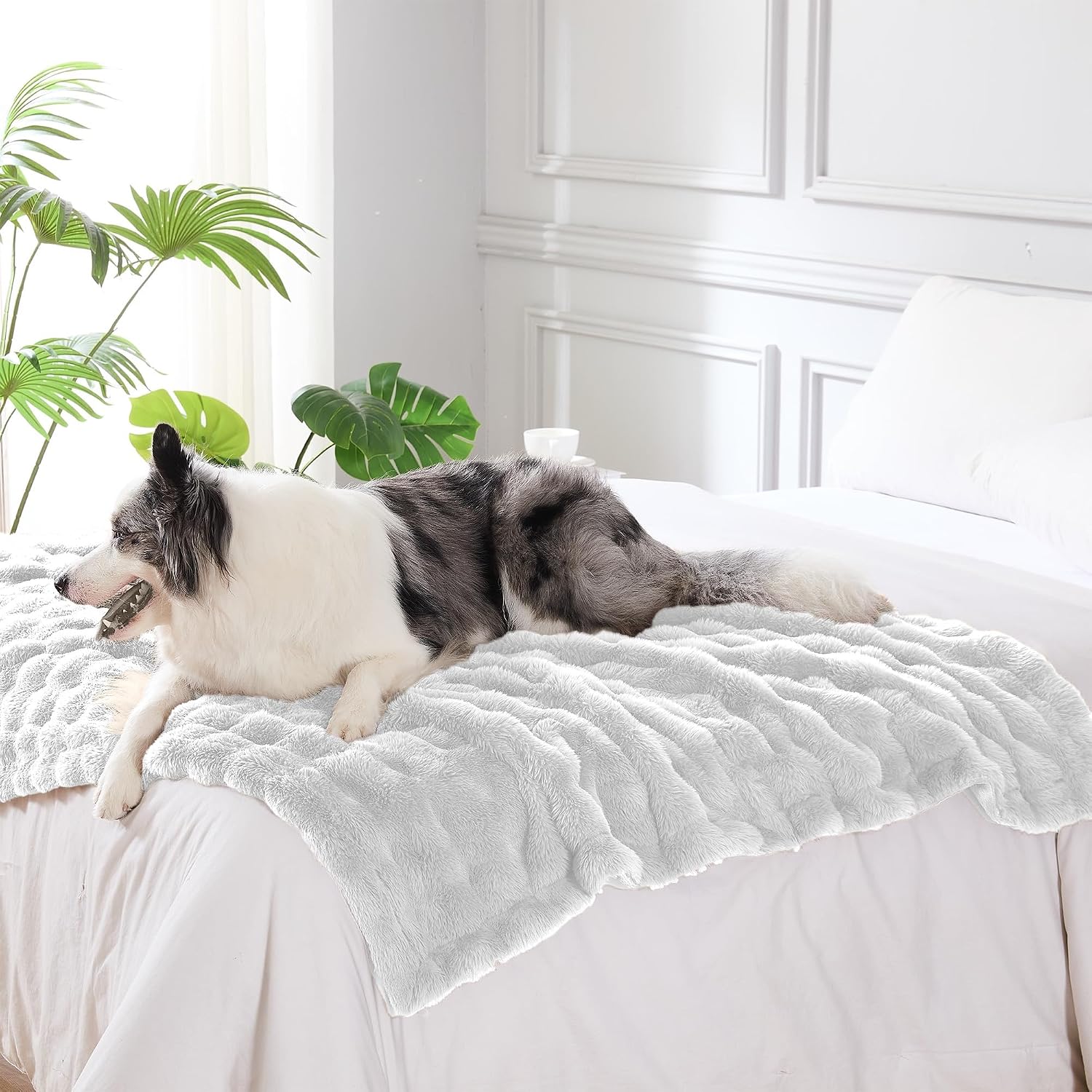 Close up view of the water resistant backing on the white dog blanket throw.