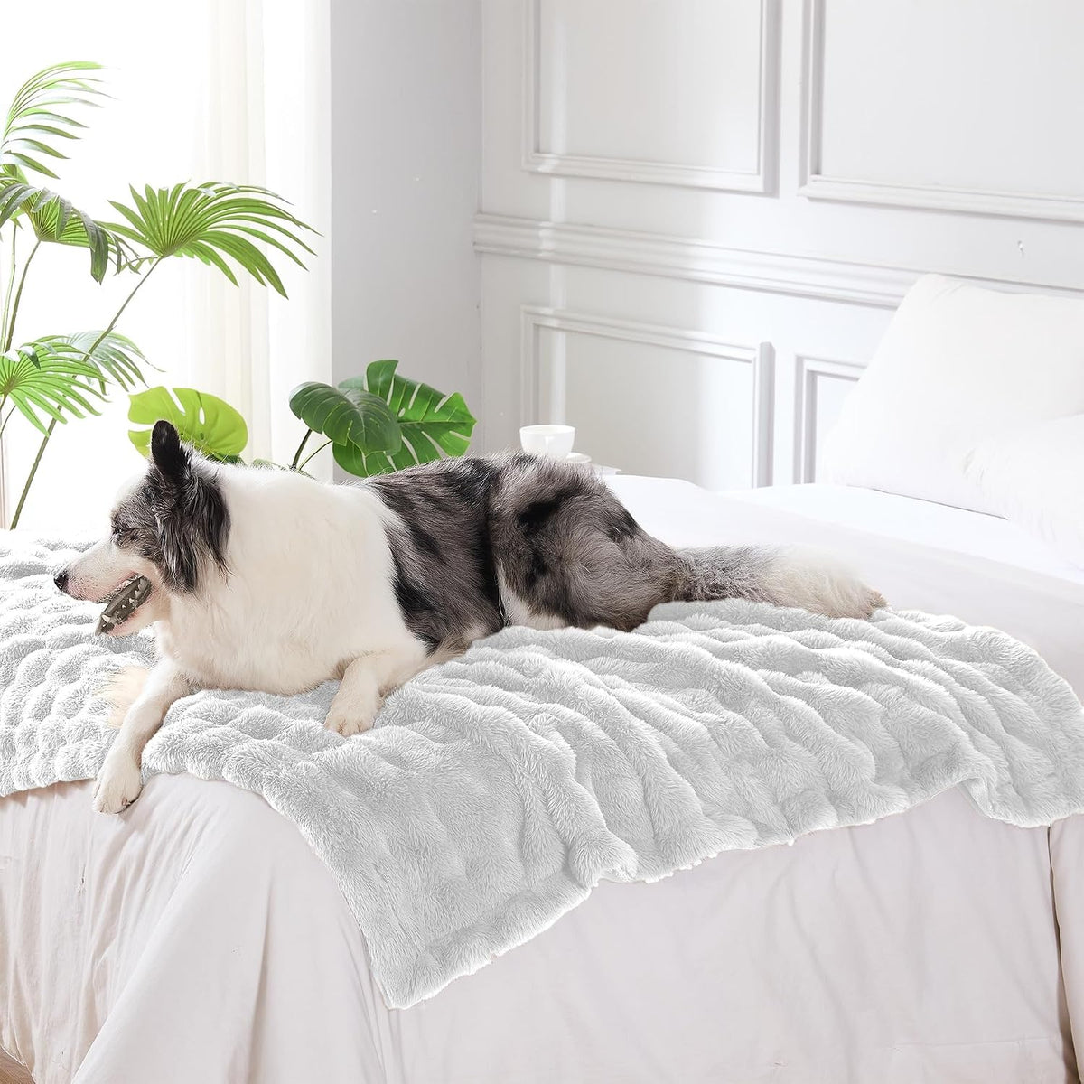 Close up view of the water resistant backing on the white dog blanket throw.