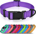 Small dog wearing Joytale reflective collar