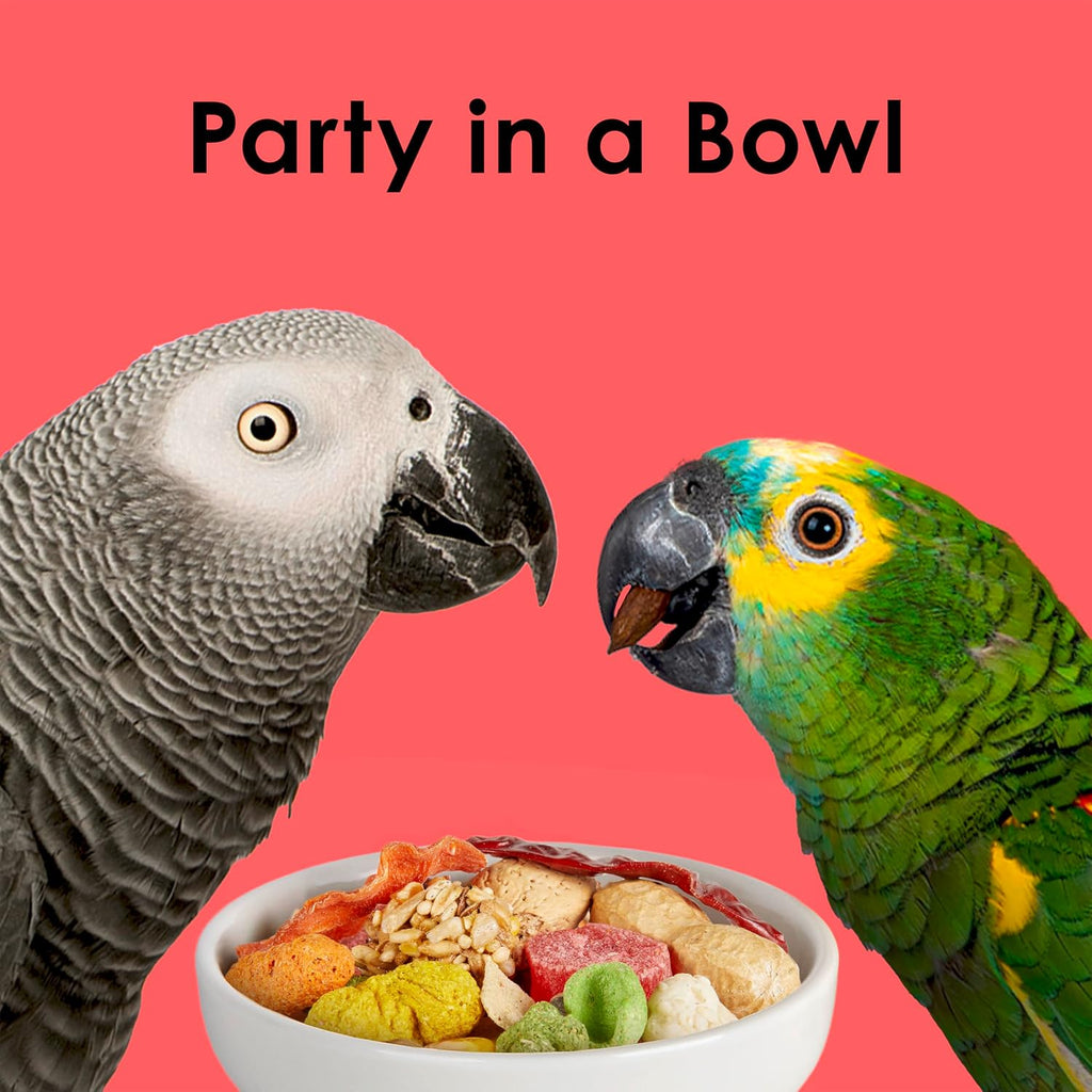 Kaytee Fiesta Parrot Food, Nutritious and Fun Blend, Supports Skin, Feather, Digestion, Brain and Heart Health, 2.5 pounds - Image 10