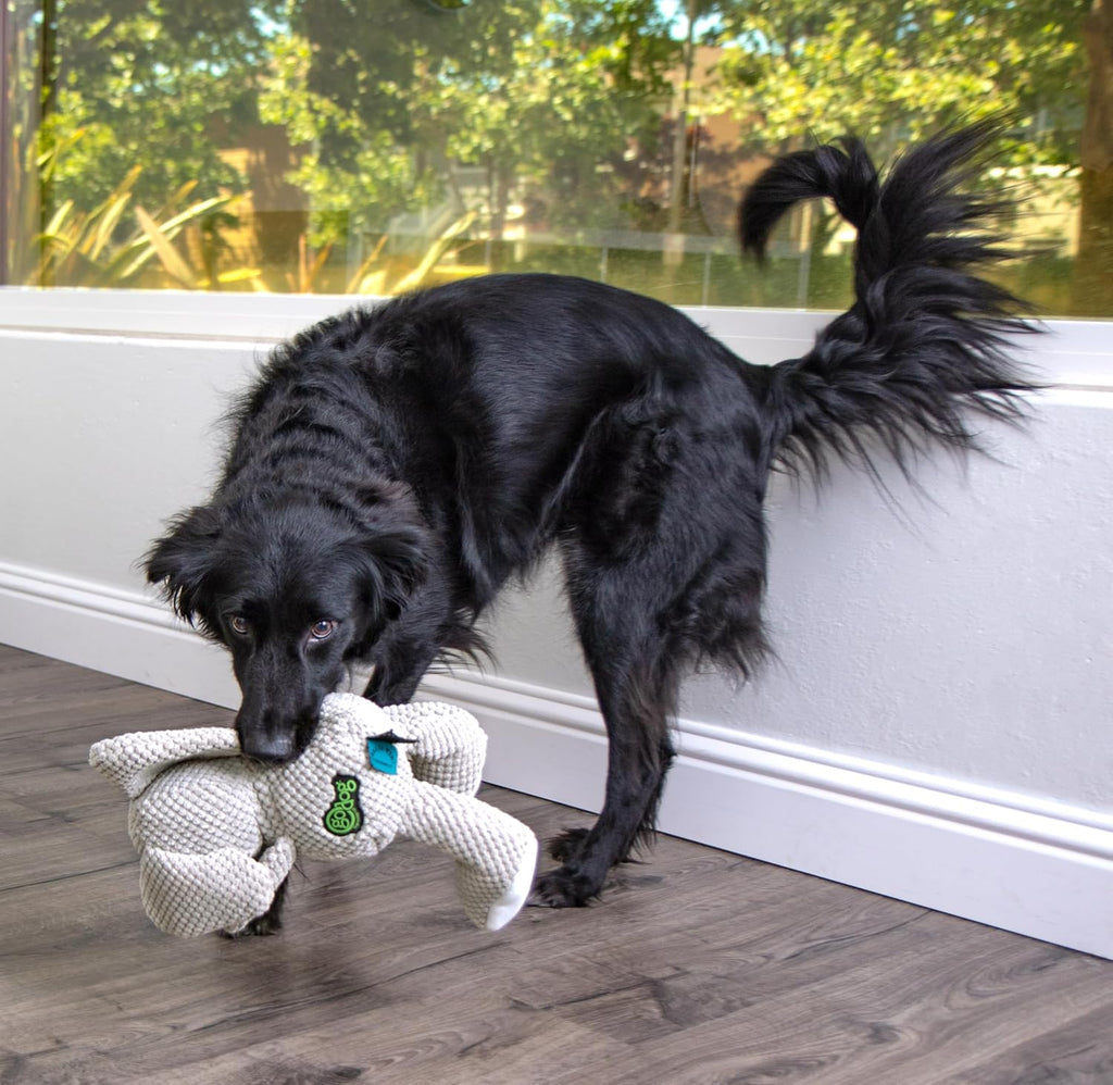Premium imported goDog plush companion toy for interactive canine fetch games.