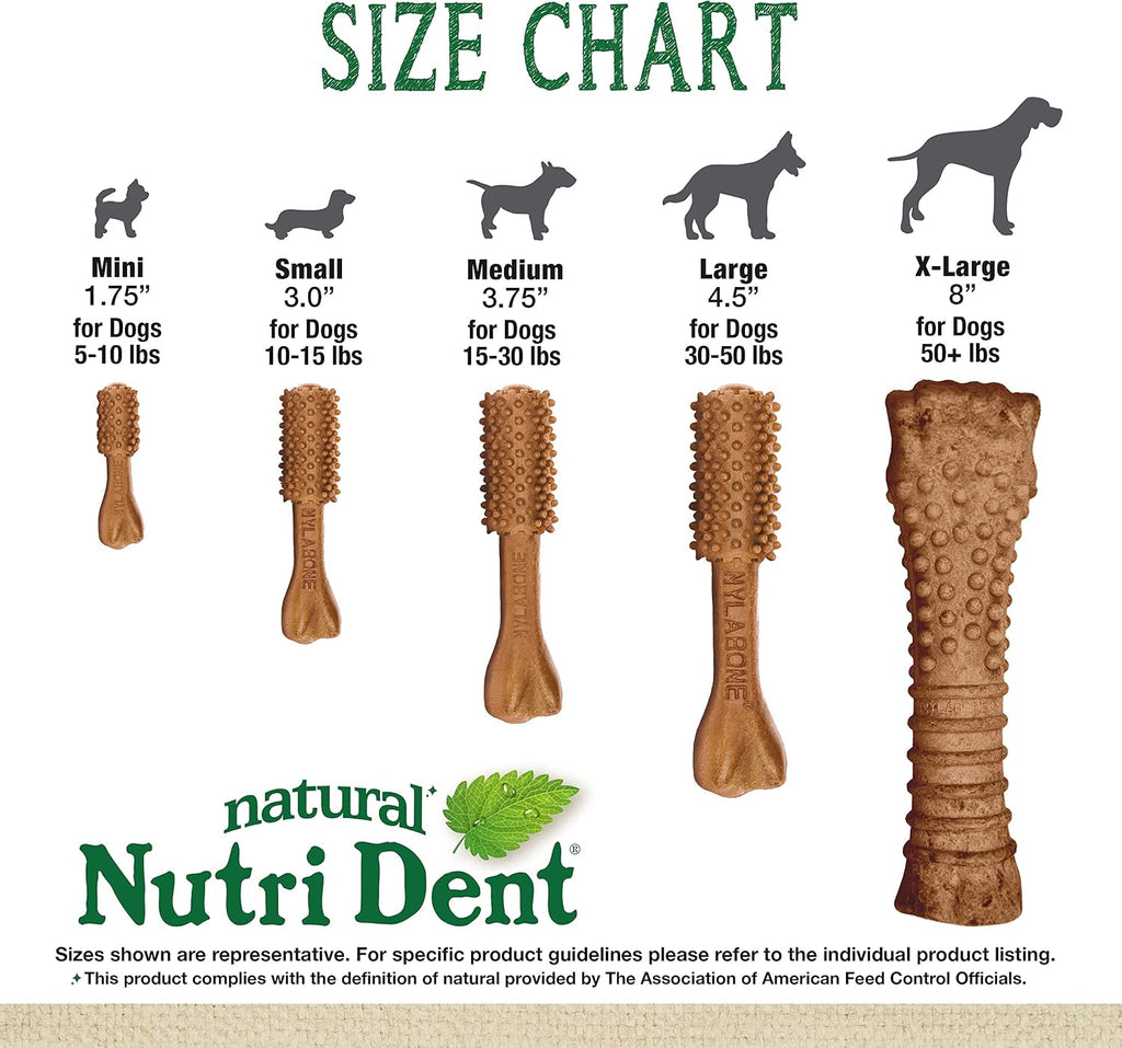 Back of Nylabone Nutri Dent medium dog treats bag with usage instructions and ingredients