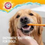 Arm and Hammer toothpaste for plaque and tartar control