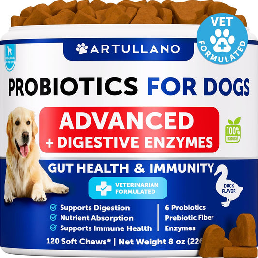 Artullano Probiotics for Dogs front packaging view dog digestive supplement