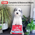 Stella & Chewy's Freeze-Dried Raw Lamb Meal Mixers- Dog Food Topper and Mixer - Made with 95% Grass-Fed Lamb, Organs & Bone - Perfect for Picky Eaters - Grain-Free - 3.5 oz - Image 11