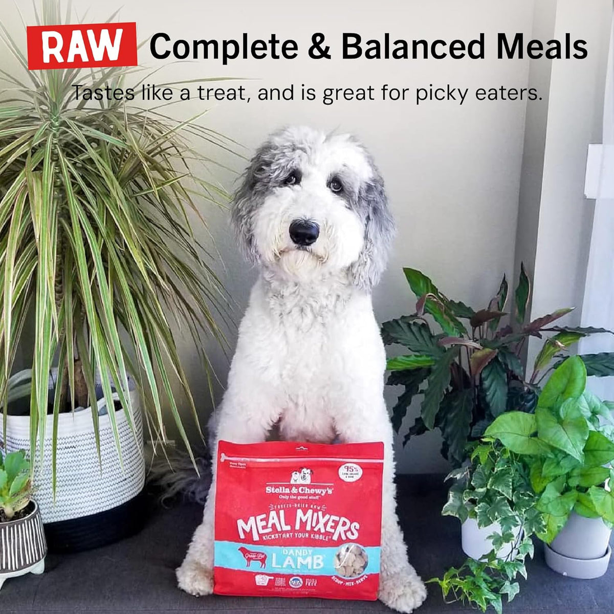 Stella & Chewy's Freeze-Dried Raw Lamb Meal Mixers- Dog Food Topper and Mixer - Made with 95% Grass-Fed Lamb, Organs & Bone - Perfect for Picky Eaters - Grain-Free - 3.5 oz - Image 11