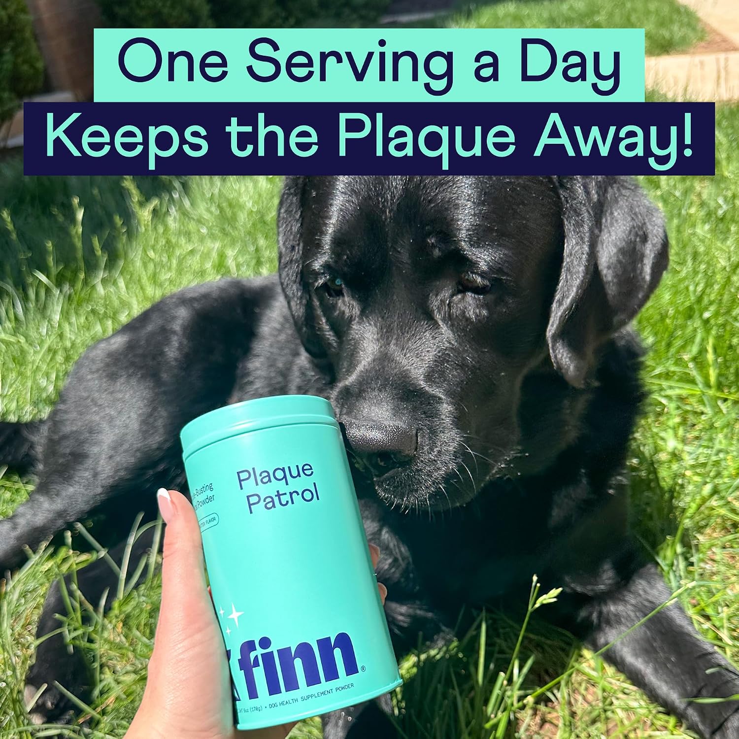 Finn dental powder for dogs targeting plaque buildup and bad breath