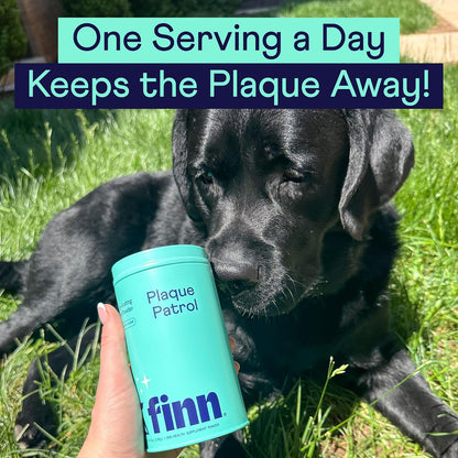 Finn dental powder for dogs targeting plaque buildup and bad breath