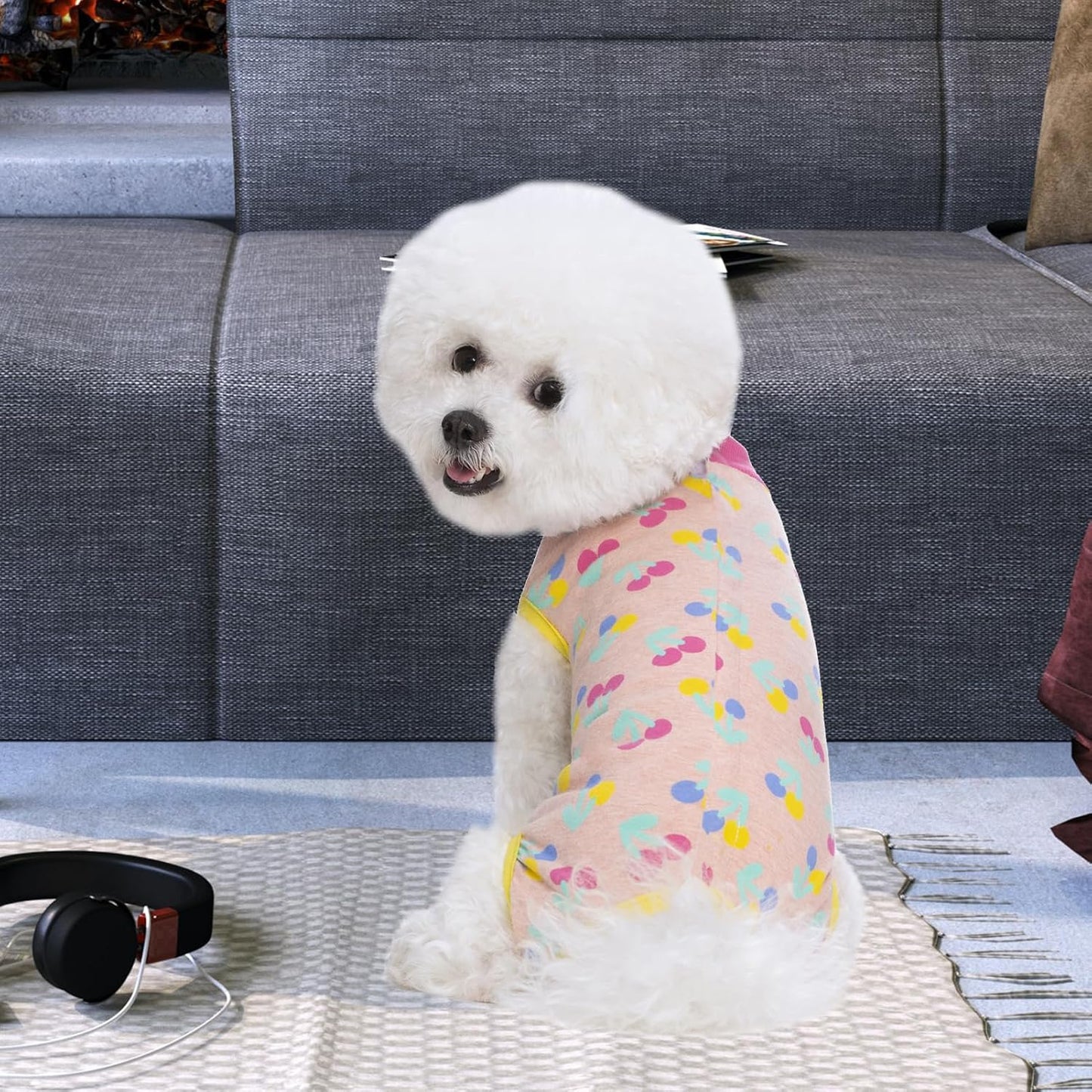 Miaododo authentic imported post operative pet onesie packaging view