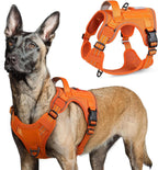 rabbitgoo Tactical Dog Harness for Large Dogs, No Pull Military Service Vest with Handle & Molle, Easy Control for Training Walking, Adjustable Reflective Straps, Black, L - Image 12