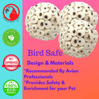 Natural bird foot toy held in a parrot talon