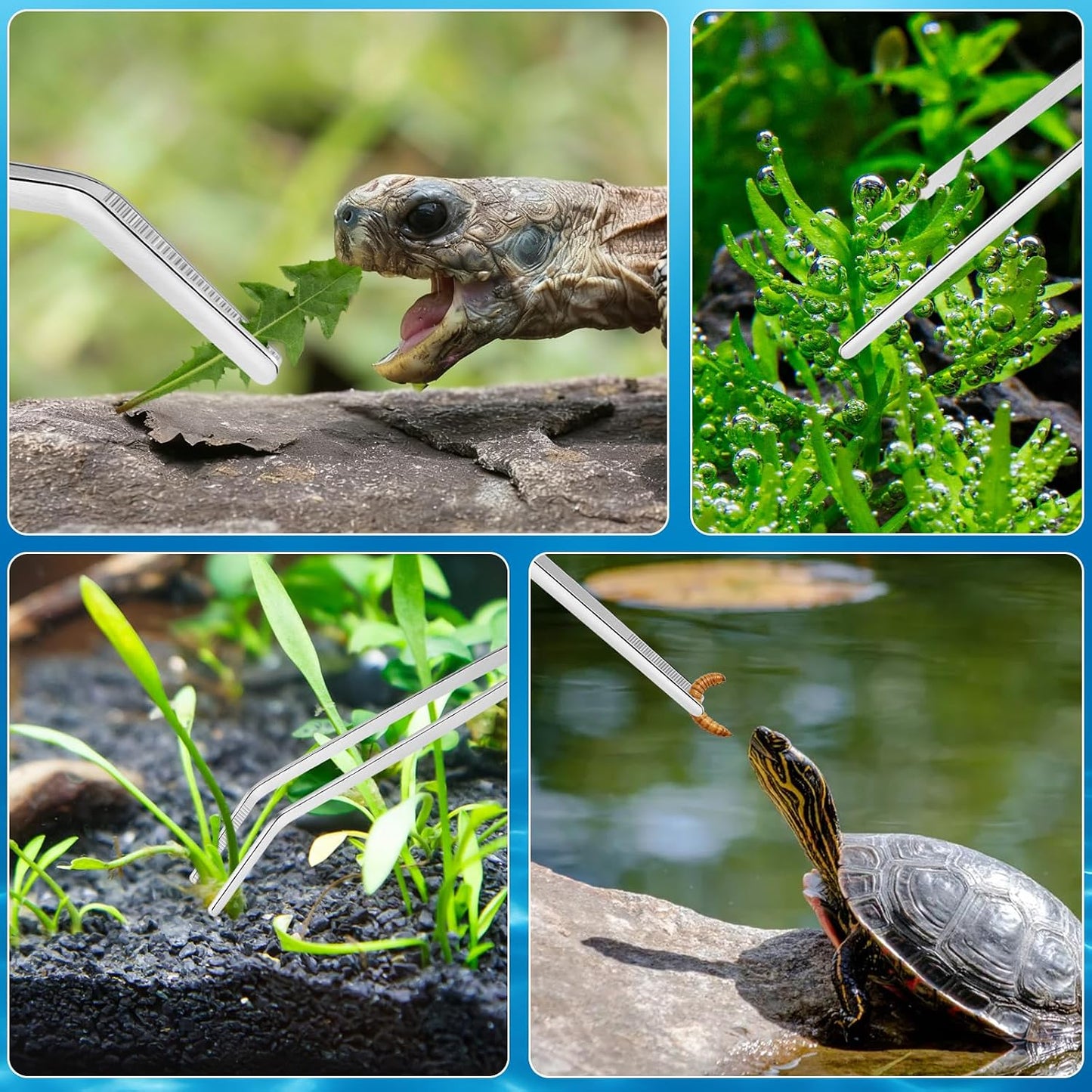 Rust resistant terrarium cleaning tools for professional fish tank care and plant grooming.