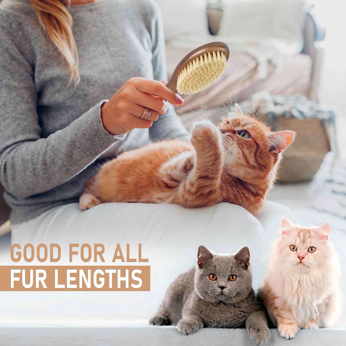 Takavu wooden pet brush angled view showing the convenient integrated hanging loop for storage