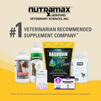 Nutramax Dasuquin joint support supplement bottle with cap open