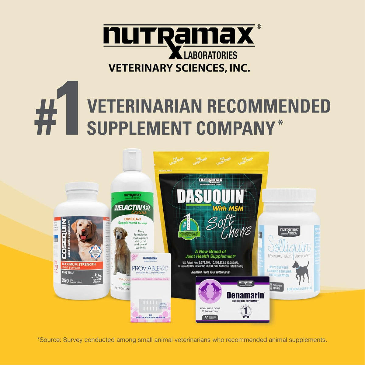 Nutramax Dasuquin joint support supplement bottle with cap open