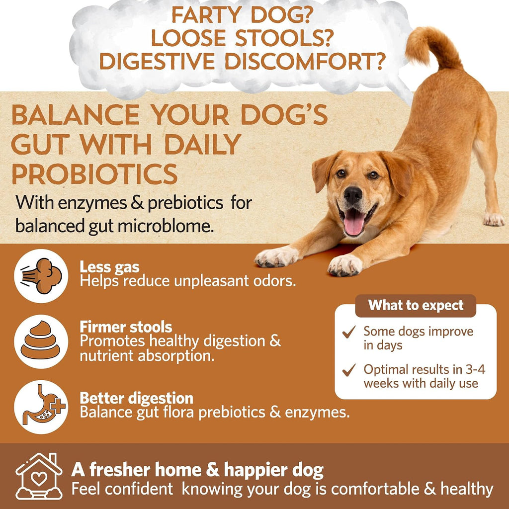 Fidobiotics medium dogs probiotic supplement container displaying 6 billion CFUs.
