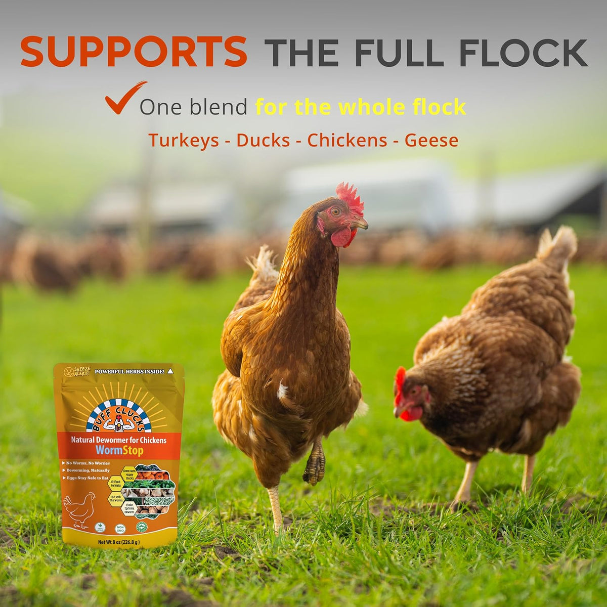 Buff Clucks natural dewormer powder shown alongside wholesome chicken feed
