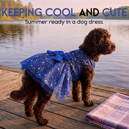 Formal pet apparel with central bow detail