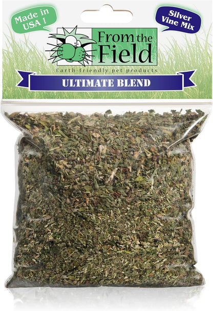 Product presentation of the premium catnip and silver vine blend showing the container size relative to standard use.