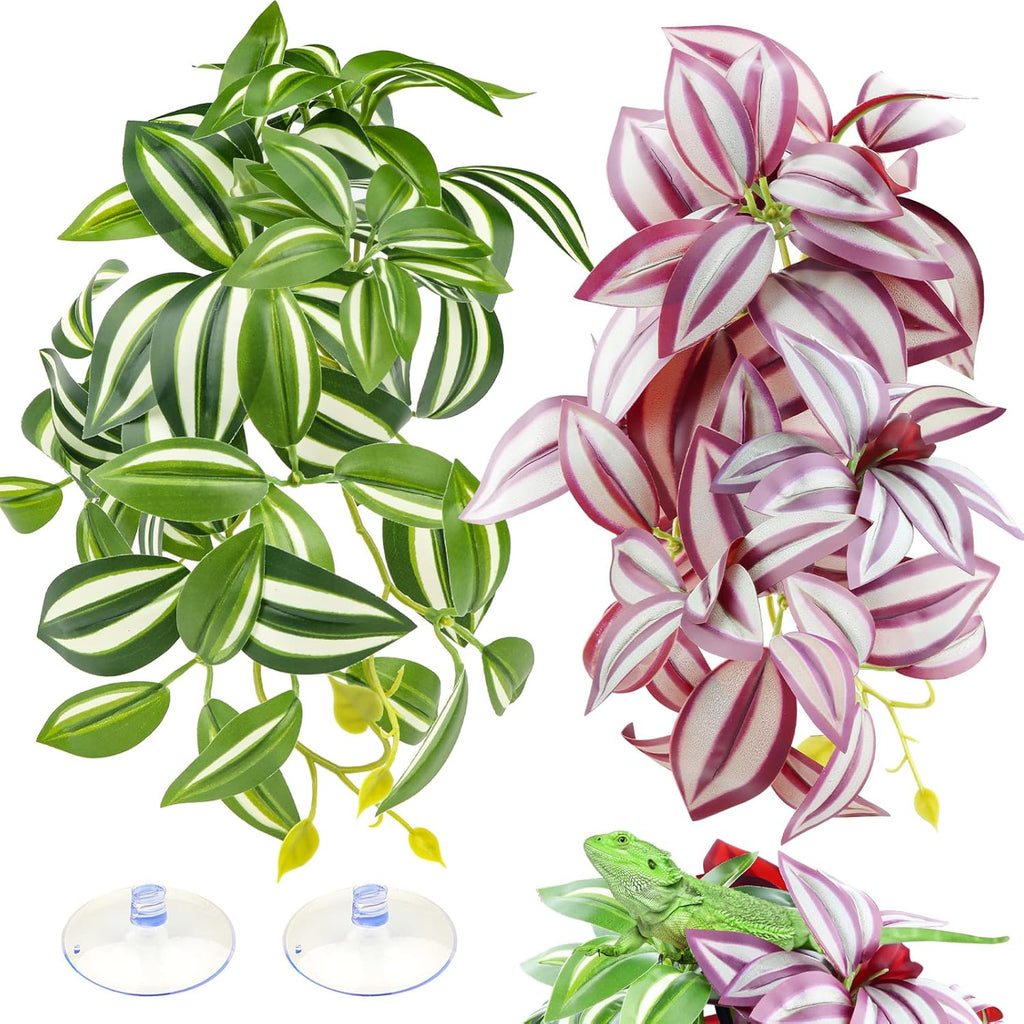 Quozuo 2 pack reptile plants with purple and green leaves