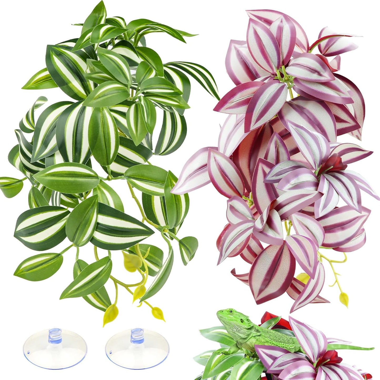Quozuo 2 pack reptile plants with purple and green leaves
