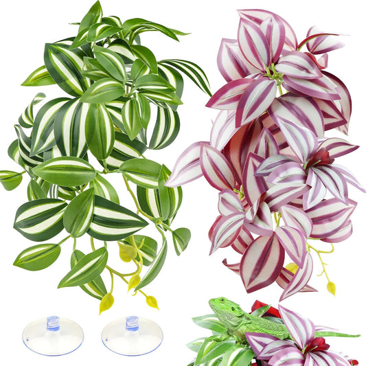 Quozuo 2 pack reptile plants with purple and green leaves