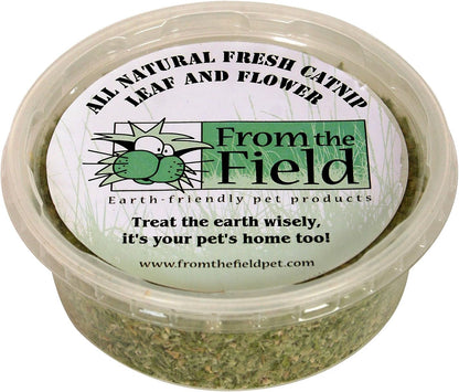 Premium organic catnip flower buds and leaves blend without stems on white background