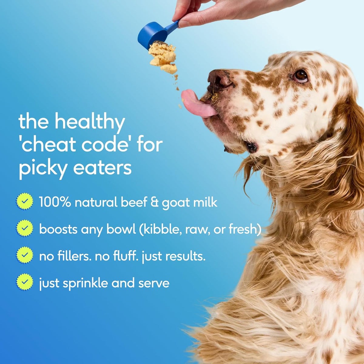 Native Pet The Daily Dog Vitamins & Supplements - 11-in-1 Multivitamin Powder for Dogs - Supports Whole Body Health, Digestion, Mobility & Immunity with Collagen, Glucosamine & Probiotics - 60 Scoops - Image 10