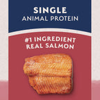 USA imported Natural Balance salmon and brown rice formula for sensitive stomachs
