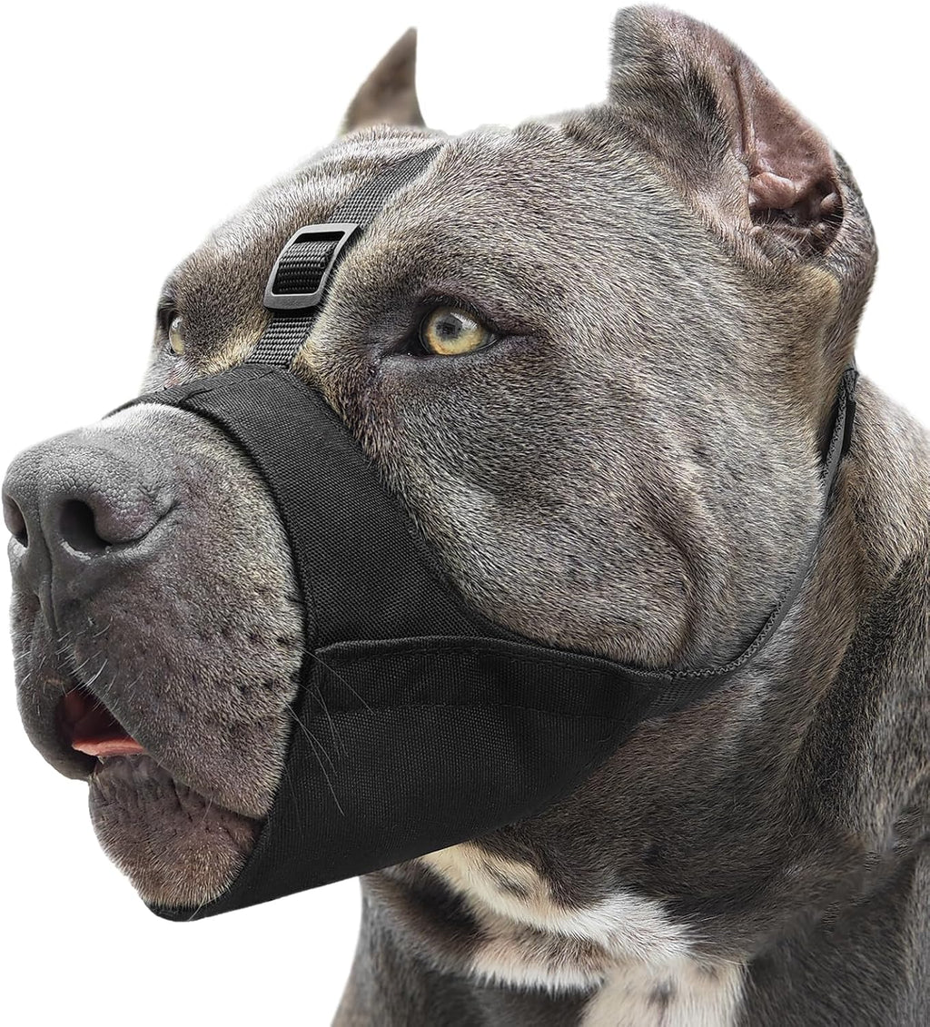 Mayerzon Pitbull Muzzle soft dog mouth guard front view