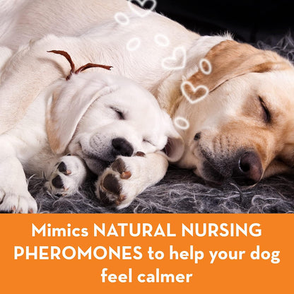 ThunderEase powered by ADAPTIL calming kit designed to soothe separation anxiety and festive firework fears in dogs.