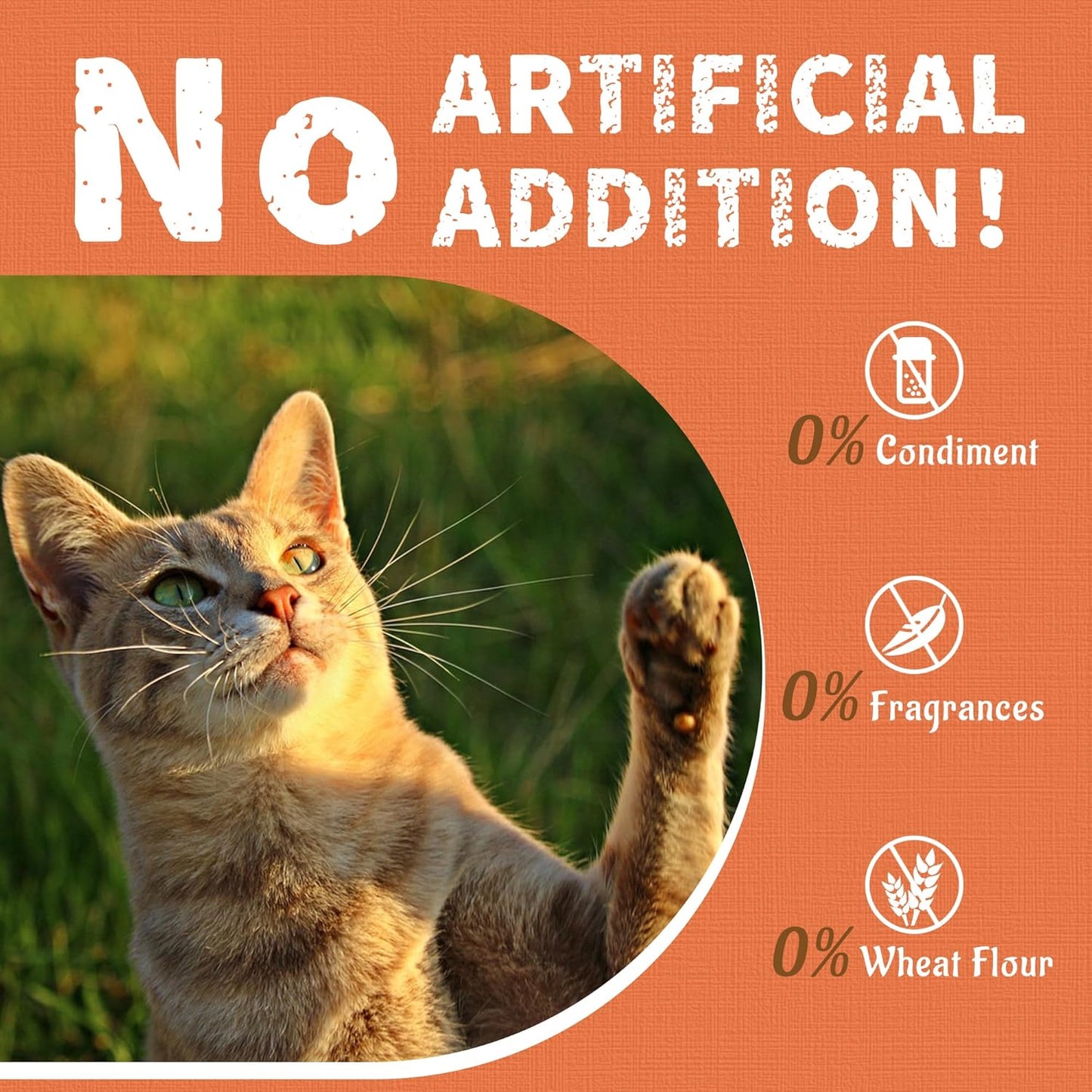 Just Try advanced cardiac and vision support snacks for cats jar